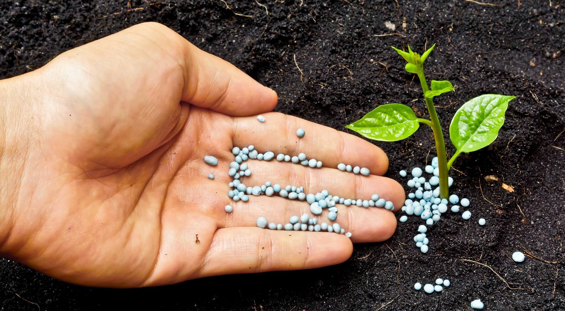 ukraine-exports-nitrogen-fertilizers-for-34-mln-imported-for-117-mln